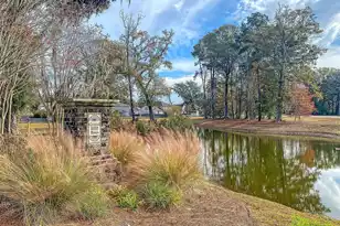 625 Jancus St, Charleston, SC 29414 - Photo 39