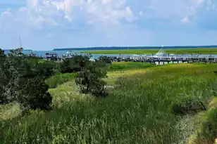 3701 Dock Site Road, Edisto Beach, SC 29438 - Photo 15