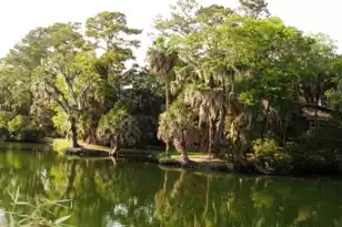 796 Summerwind Cir, Edisto Island, SC 29438 - Photo 49