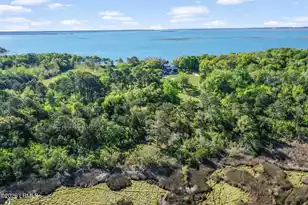 70 Nathan Pope Rd, Saint Helena Island, SC 29920 - Photo 73