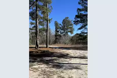 481 Butler Drive, Livingston, SC 29107 - Photo 23