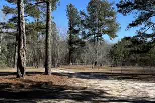 481 Butler Dr, Livingston, SC 29107 - Photo 23