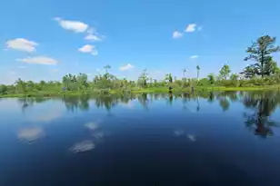 757 Back Field Rd, Walterboro, SC 29488 - Photo 97