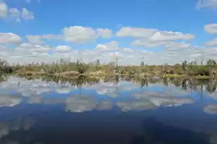 757 Back Field Rd, Walterboro, SC 29488 - Photo 87