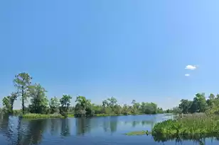 757 Back Field Rd, Walterboro, SC 29488 - Photo 91