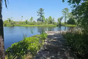 757 Back Field Rd, Walterboro, SC 29488 - Photo 93