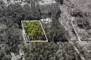 0 Yaremich Dr, Moncks Corner, SC 29461 - Photo 1