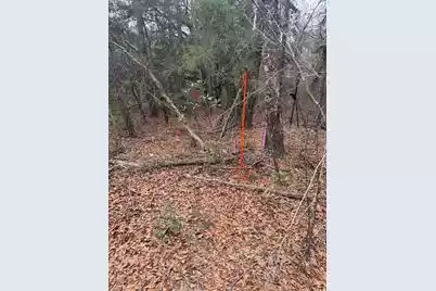 0 Sidneys Road, Round O, SC 29474 - Photo 3