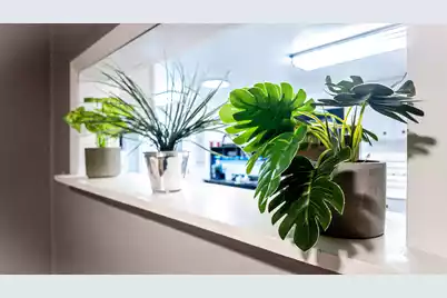 130 2nd Street, Santee, SC 29142 - Photo 29