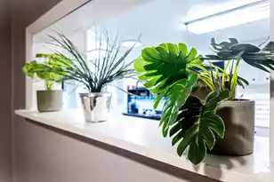 130 2nd St, Santee, SC 29142 - Photo 29