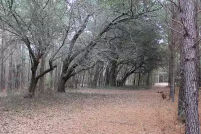 00 Raymond Rd Road, Orangeburg, SC 29118 - Photo 9