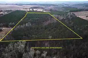 00 Raymond Rd Rd, Orangeburg, SC 29118 - Photo 1