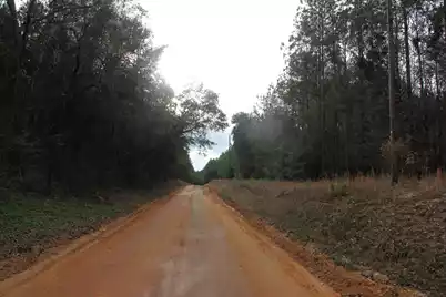 00 Raymond Rd Road, Orangeburg, SC 29118 - Photo 3