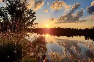 136 Ridge Lake Dr, Manning, SC 29102 - Photo 65