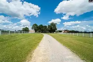 596 Neeses Hwy Hwy, Orangeburg, SC 29115 - Photo 5