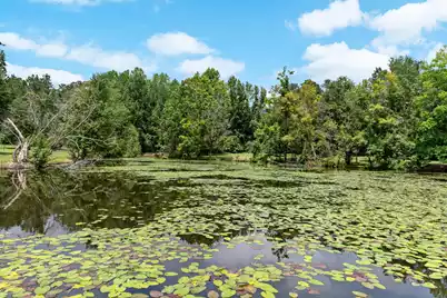 180 Rivers Turn Road, Orangeburg, SC 29115 - Photo 59