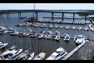 416 Caledon Ct, Johns Island, SC 29455 - Photo 39