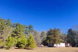 6080 Cayce Rd, Lodge, SC 29082 - Photo 7