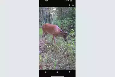 Tbd House Road, Summerton, SC 29148 - Photo 11