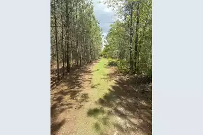 Tbd House Road, Summerton, SC 29148 - Photo 5