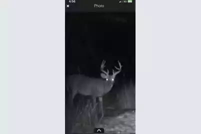 Tbd House Road, Summerton, SC 29148 - Photo 19