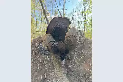 Tbd House Road, Summerton, SC 29148 - Photo 25