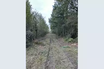 Tbd House Road, Summerton, SC 29148 - Photo 3