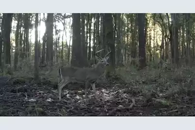 Tbd House Road, Summerton, SC 29148 - Photo 21