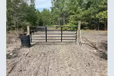 Tbd House Road, Summerton, SC 29148 - Photo 7