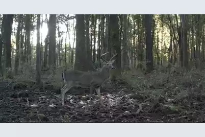 Tbd House Road, Summerton, SC 29148 - Photo 9