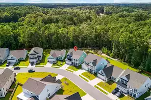 428 Eagleview Dr, Moncks Corner, SC 29461 - Photo 45