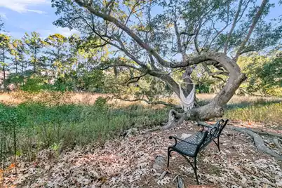 4066 Blackmoor Street, Mount Pleasant, SC 29466 - Photo 51