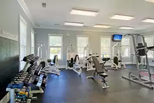 4066 Blackmoor St, Mount Pleasant, SC 29466 - Photo 61