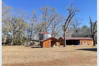 4233 Mt. Nebo Road, Lodge, SC 29082 - Photo 15