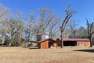 4233 Mt Nebo Rd, Lodge, SC 29082 - Photo 15