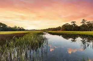 7262 Toogoodoo Rd, Meggett, SC 29449 - Photo 15