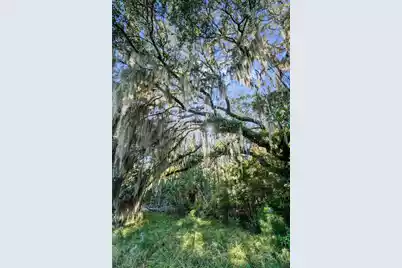 2476 Joseph Pearline Road, Johns Island, SC 29455 - Photo 3