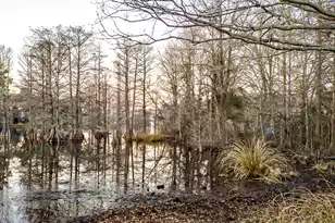 402 Knott Dr, Eutawville, SC 29048 - Photo 113