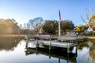 402 Knott Dr, Eutawville, SC 29048 - Photo 115