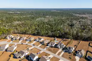 673 Pontoon Rd, Huger, SC 29450 - Photo 81