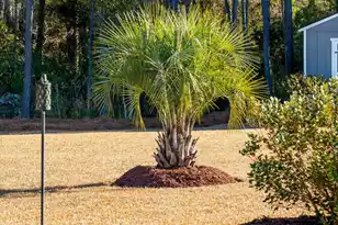 673 Pontoon Rd, Huger, SC 29450 - Photo 67