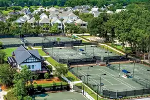 809 Roddin St, Daniel Island, SC 29492 - Photo 89