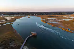 809 Roddin St, Daniel Island, SC 29492 - Photo 5