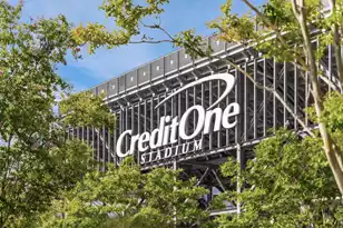 809 Roddin St, Daniel Island, SC 29492 - Photo 111