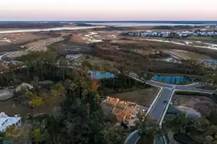 809 Roddin St, Daniel Island, SC 29492 - Photo 83