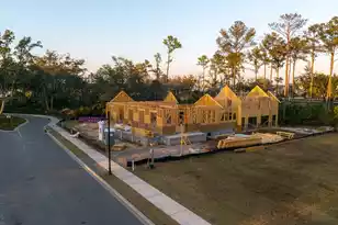 809 Roddin St, Daniel Island, SC 29492 - Photo 61