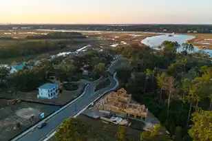 809 Roddin St, Daniel Island, SC 29492 - Photo 71