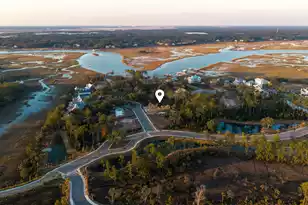 809 Roddin St, Daniel Island, SC 29492 - Photo 3