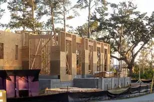 809 Roddin St, Daniel Island, SC 29492 - Photo 59