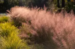 809 Roddin St, Daniel Island, SC 29492 - Photo 71